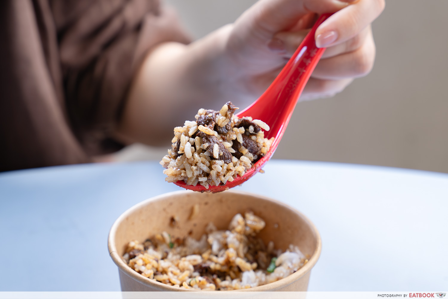 1030-breakfast-shop-braised-pork-rice
